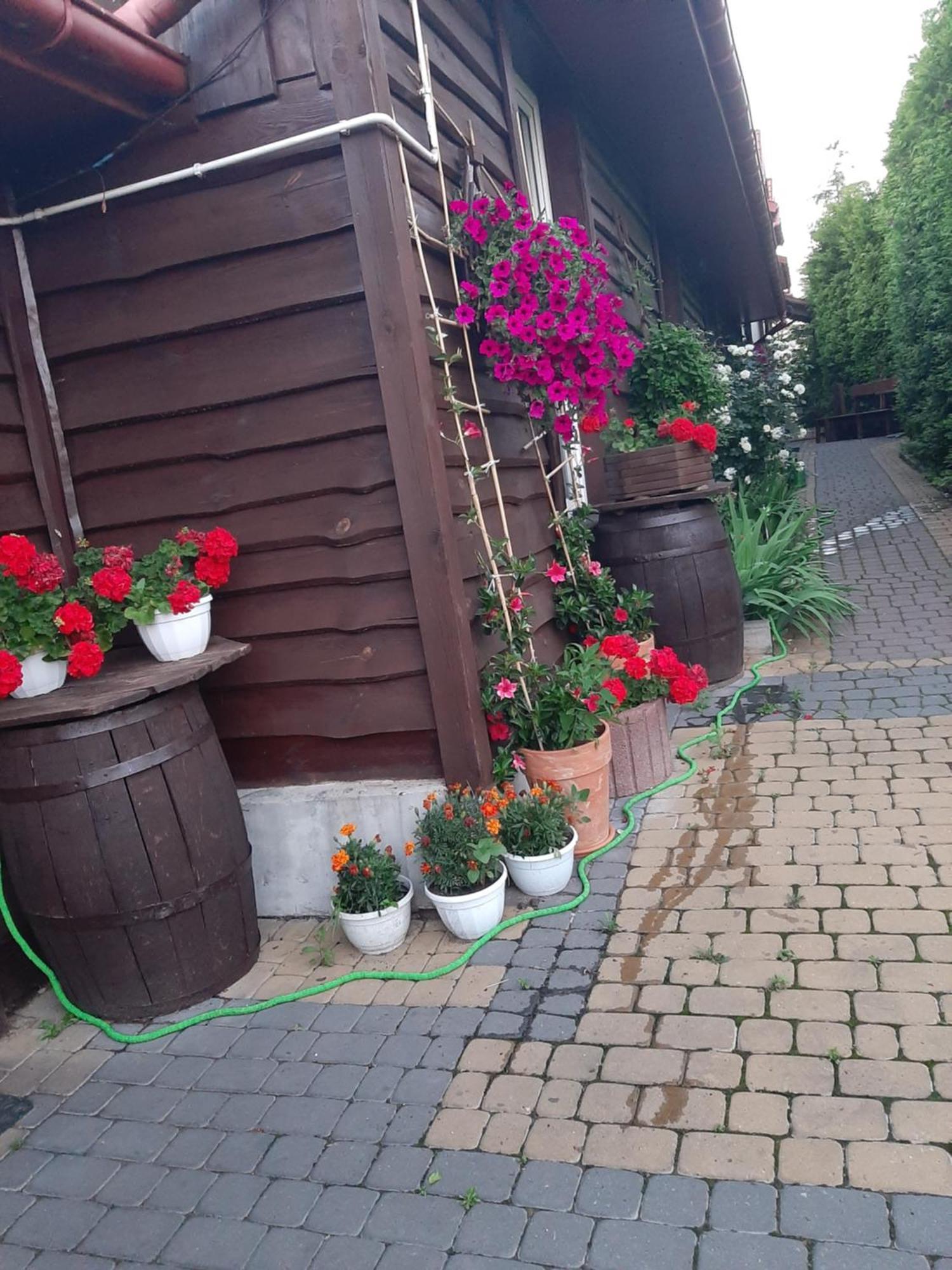 Appartamento Zielone Zacisze Zagnansk Esterno foto